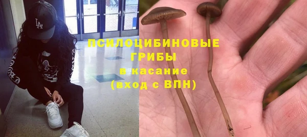 прущая мука Беломорск