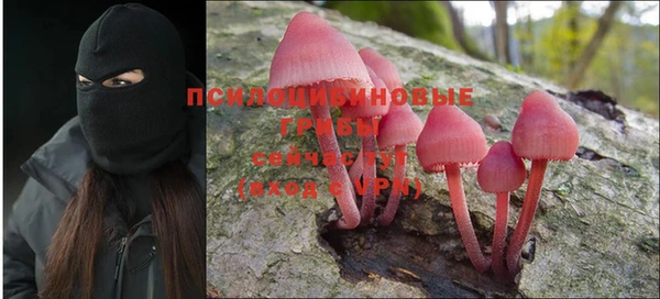 твердый Белокуриха