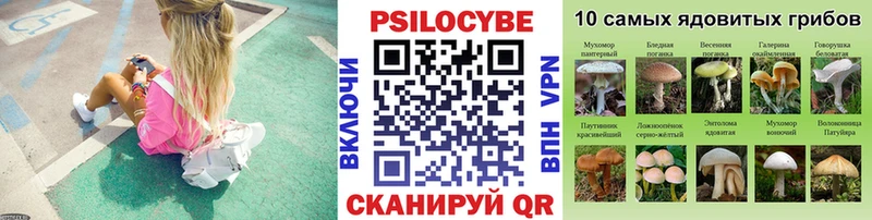 KRAKEN зеркало  Купино  Псилоцибиновые грибы Magic Shrooms  наркошоп 
